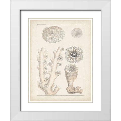 Antique White Coral III White Modern Wood Framed Art Print with Double Matting by Vision Studio