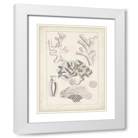 Antique White Coral IV White Modern Wood Framed Art Print with Double Matting by Vision Studio