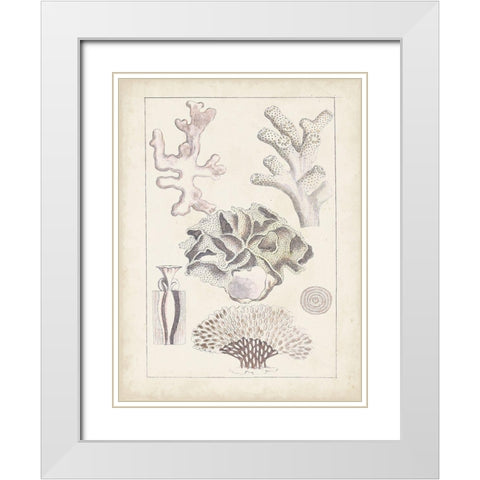 Antique White Coral IV White Modern Wood Framed Art Print with Double Matting by Vision Studio