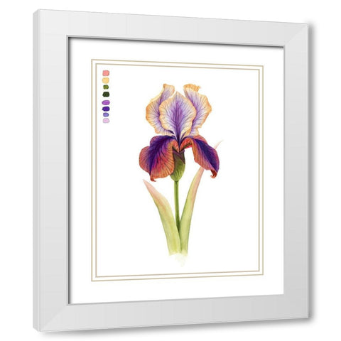 Rainbow Iris I White Modern Wood Framed Art Print with Double Matting by Popp, Grace