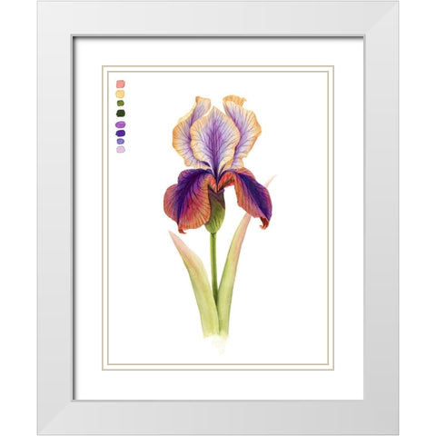 Rainbow Iris I White Modern Wood Framed Art Print with Double Matting by Popp, Grace
