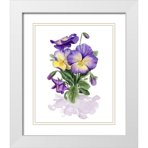 Viola Pansies II White Modern Wood Framed Art Print with Double Matting by Popp, Grace