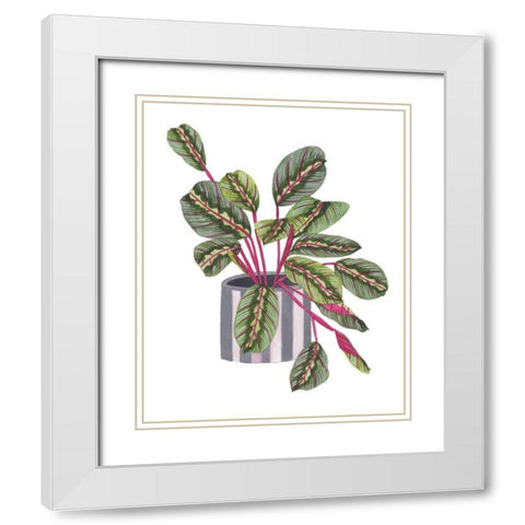 Prayer Plant I White Modern Wood Framed Art Print with Double Matting by Wang, Melissa