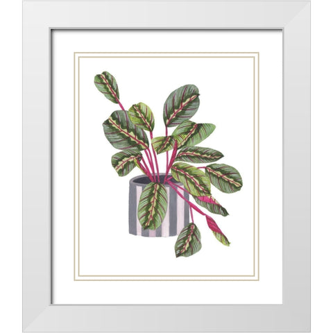 Prayer Plant I White Modern Wood Framed Art Print with Double Matting by Wang, Melissa