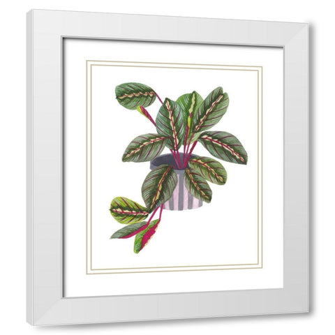 Prayer Plant II White Modern Wood Framed Art Print with Double Matting by Wang, Melissa