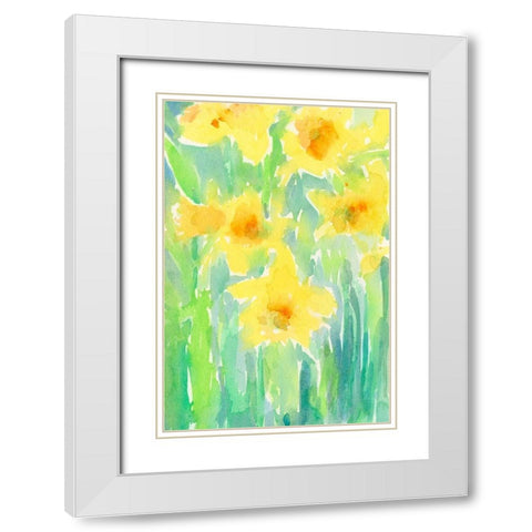 Daffodils I White Modern Wood Framed Art Print with Double Matting by Dixon, Samuel