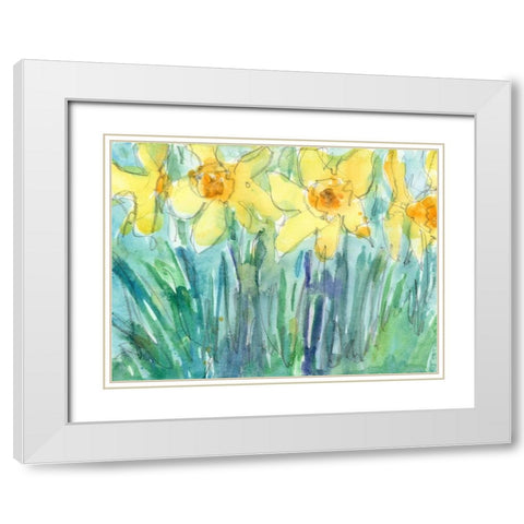 Daffodil Blooms I White Modern Wood Framed Art Print with Double Matting by Dixon, Samuel