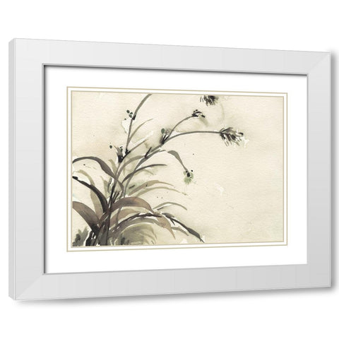 Plant of the Age II White Modern Wood Framed Art Print with Double Matting by Dixon, Samuel