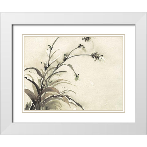 Plant of the Age II White Modern Wood Framed Art Print with Double Matting by Dixon, Samuel