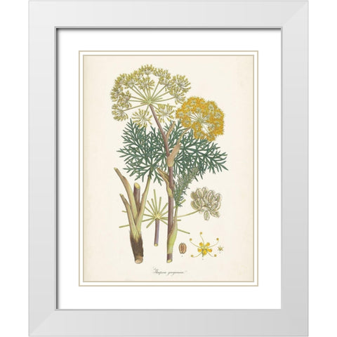 Saffron Botanicals I White Modern Wood Framed Art Print with Double Matting by Unknown