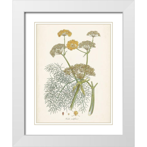 Saffron Botanicals II White Modern Wood Framed Art Print with Double Matting by Unknown