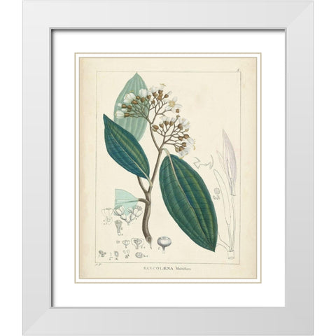 Vintage Verdure I White Modern Wood Framed Art Print with Double Matting by Unknown