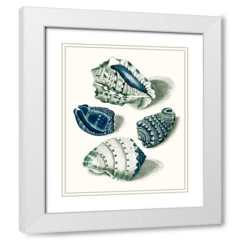 Celadon Shells I White Modern Wood Framed Art Print with Double Matting by Vision Studio