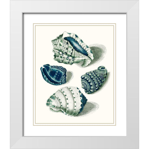 Celadon Shells I White Modern Wood Framed Art Print with Double Matting by Vision Studio