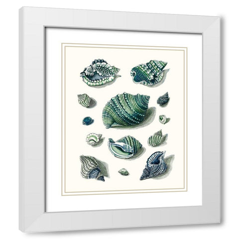 Celadon Shells II White Modern Wood Framed Art Print with Double Matting by Vision Studio