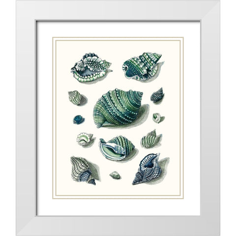 Celadon Shells II White Modern Wood Framed Art Print with Double Matting by Vision Studio