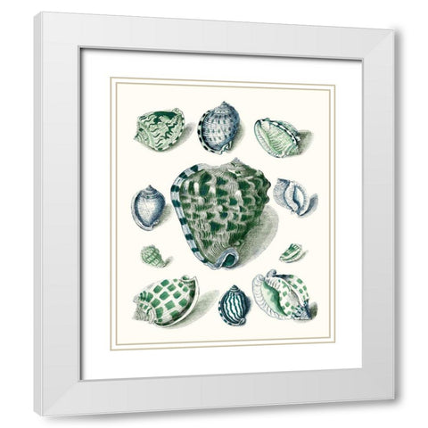 Celadon Shells III White Modern Wood Framed Art Print with Double Matting by Vision Studio
