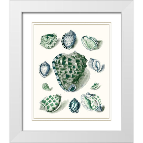 Celadon Shells III White Modern Wood Framed Art Print with Double Matting by Vision Studio