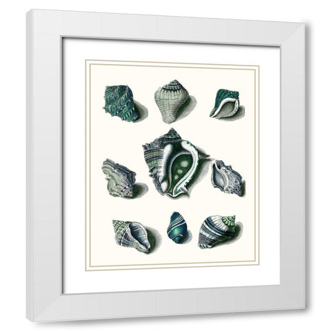 Celadon Shells IV White Modern Wood Framed Art Print with Double Matting by Vision Studio