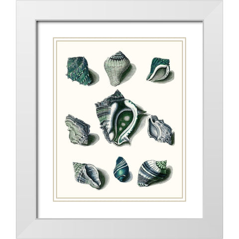 Celadon Shells IV White Modern Wood Framed Art Print with Double Matting by Vision Studio