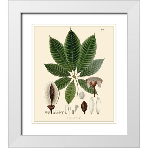 Luscious Leaves IV White Modern Wood Framed Art Print with Double Matting by Unknown