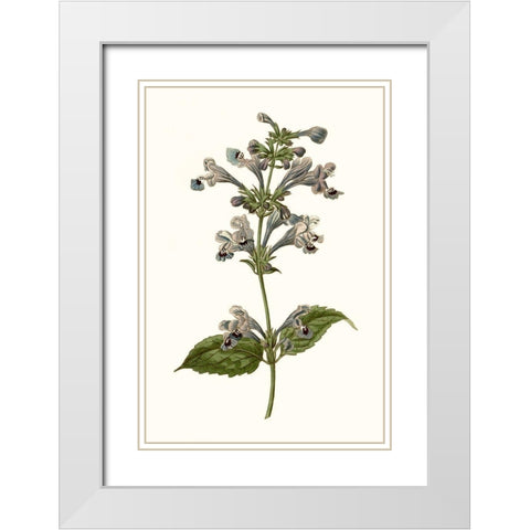 Soft Blue Botanicals III White Modern Wood Framed Art Print with Double Matting by Curtis