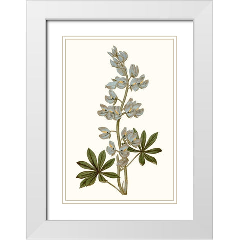 Soft Blue Botanicals VIII White Modern Wood Framed Art Print with Double Matting by Curtis