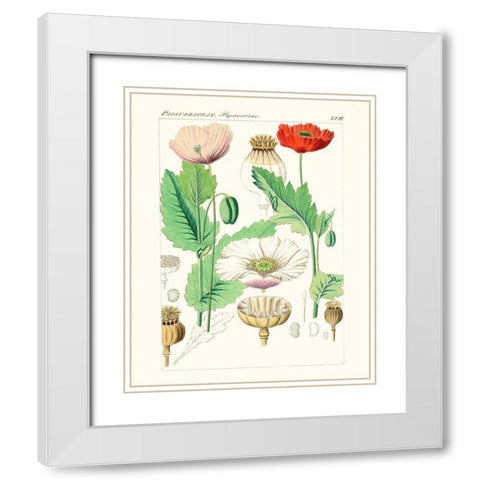 Bright Botanicals II White Modern Wood Framed Art Print with Double Matting by Unknown