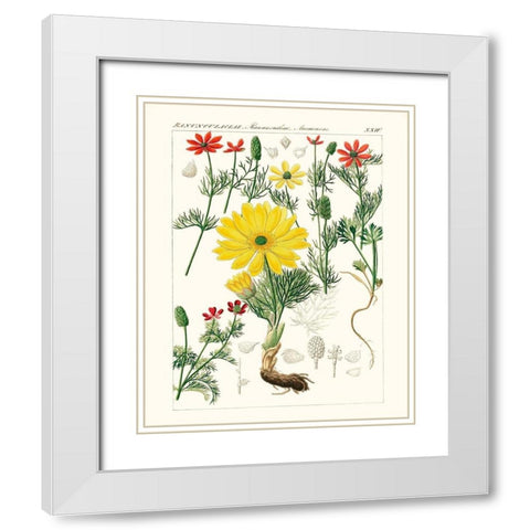 Bright Botanicals IV White Modern Wood Framed Art Print with Double Matting by Unknown