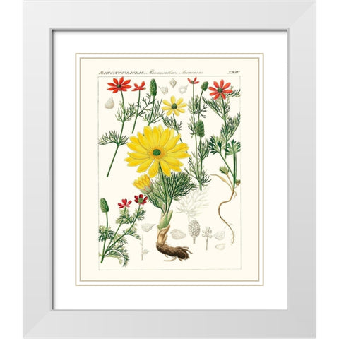 Bright Botanicals IV White Modern Wood Framed Art Print with Double Matting by Unknown