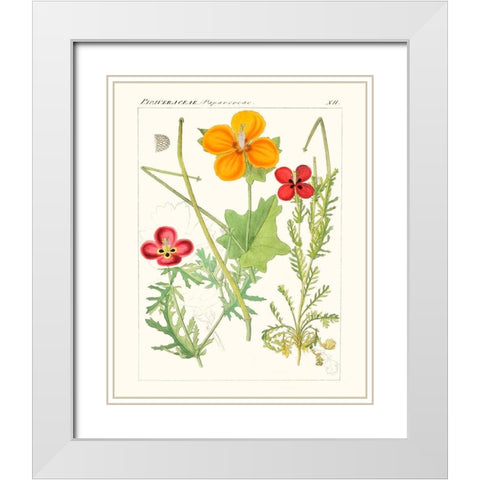 Bright Botanicals V White Modern Wood Framed Art Print with Double Matting by Unknown