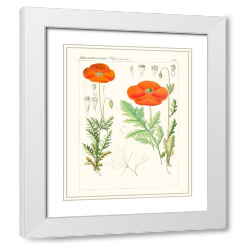 Bright Botanicals VI White Modern Wood Framed Art Print with Double Matting by Unknown