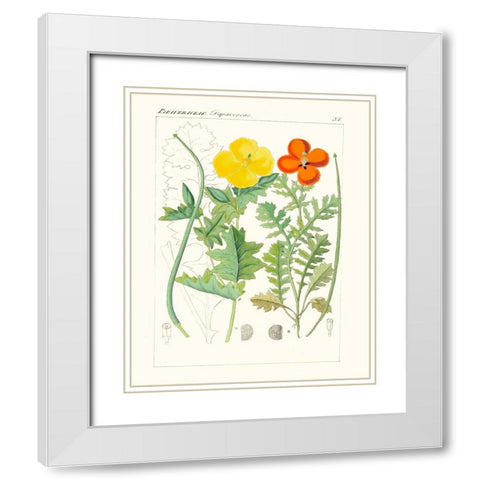 Bright Botanicals VII White Modern Wood Framed Art Print with Double Matting by Unknown