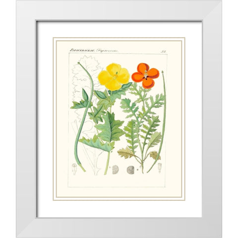 Bright Botanicals VII White Modern Wood Framed Art Print with Double Matting by Unknown