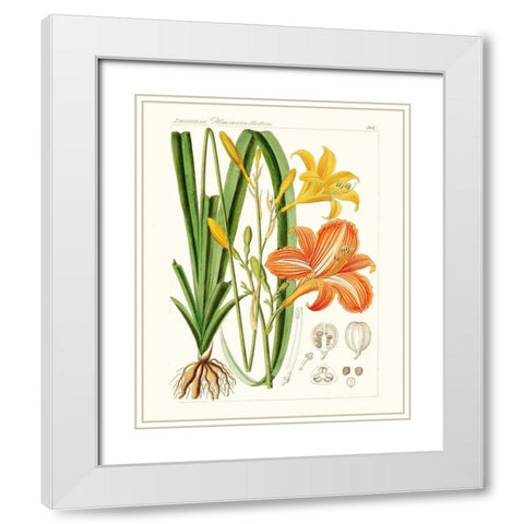 Bright Botanicals VIII White Modern Wood Framed Art Print with Double Matting by Unknown