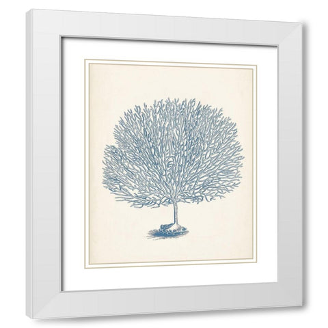 Antique Coral Collection I White Modern Wood Framed Art Print with Double Matting by Vision Studio