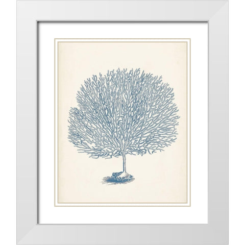Antique Coral Collection I White Modern Wood Framed Art Print with Double Matting by Vision Studio