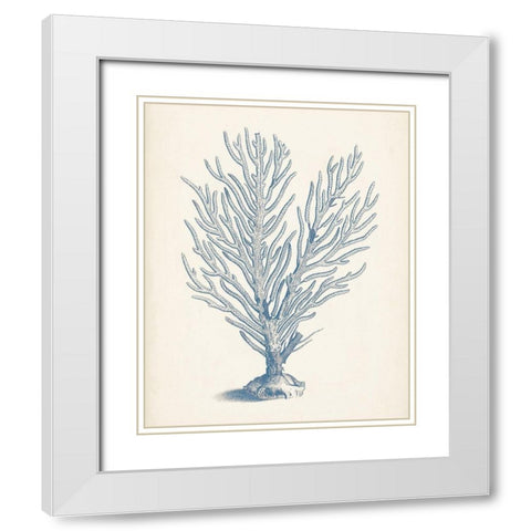 Antique Coral Collection II White Modern Wood Framed Art Print with Double Matting by Vision Studio