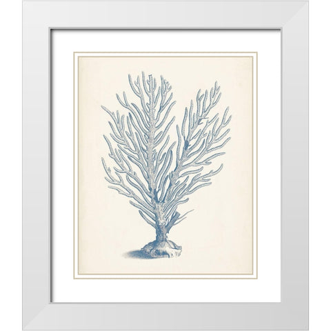 Antique Coral Collection II White Modern Wood Framed Art Print with Double Matting by Vision Studio