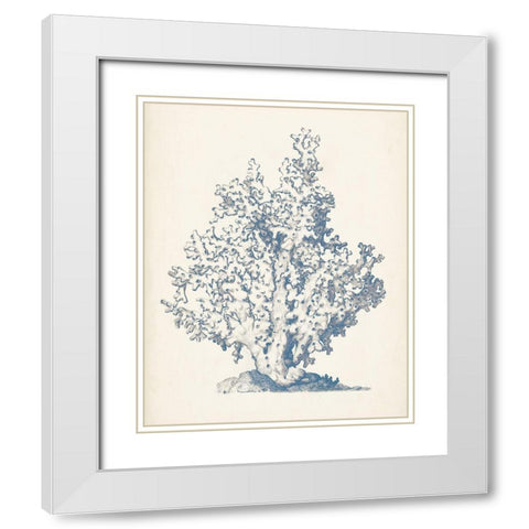 Antique Coral Collection IV White Modern Wood Framed Art Print with Double Matting by Vision Studio