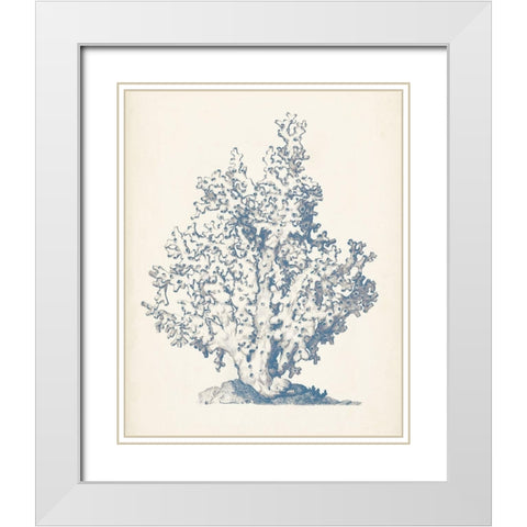Antique Coral Collection IV White Modern Wood Framed Art Print with Double Matting by Vision Studio
