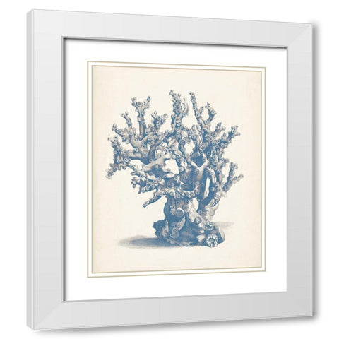 Antique Coral Collection V White Modern Wood Framed Art Print with Double Matting by Vision Studio