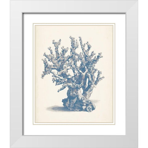 Antique Coral Collection V White Modern Wood Framed Art Print with Double Matting by Vision Studio