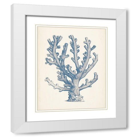 Antique Coral Collection VI White Modern Wood Framed Art Print with Double Matting by Vision Studio