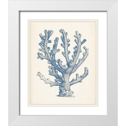 Antique Coral Collection VI White Modern Wood Framed Art Print with Double Matting by Vision Studio