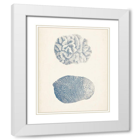 Antique Coral Collection VII White Modern Wood Framed Art Print with Double Matting by Vision Studio