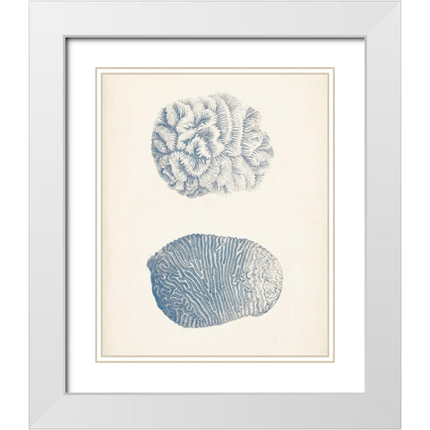 Antique Coral Collection VII White Modern Wood Framed Art Print with Double Matting by Vision Studio