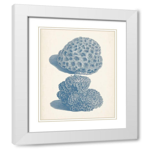 Antique Coral Collection VIII White Modern Wood Framed Art Print with Double Matting by Vision Studio