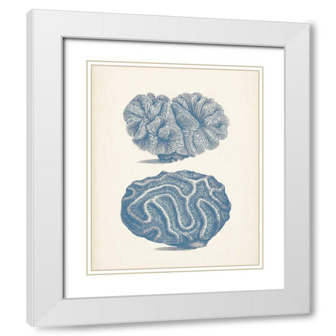 Antique Coral Collection IX White Modern Wood Framed Art Print with Double Matting by Vision Studio