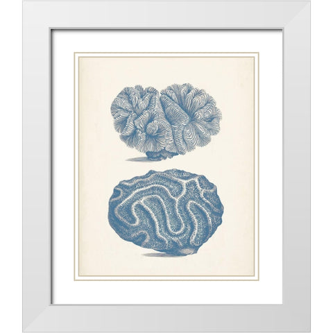Antique Coral Collection IX White Modern Wood Framed Art Print with Double Matting by Vision Studio